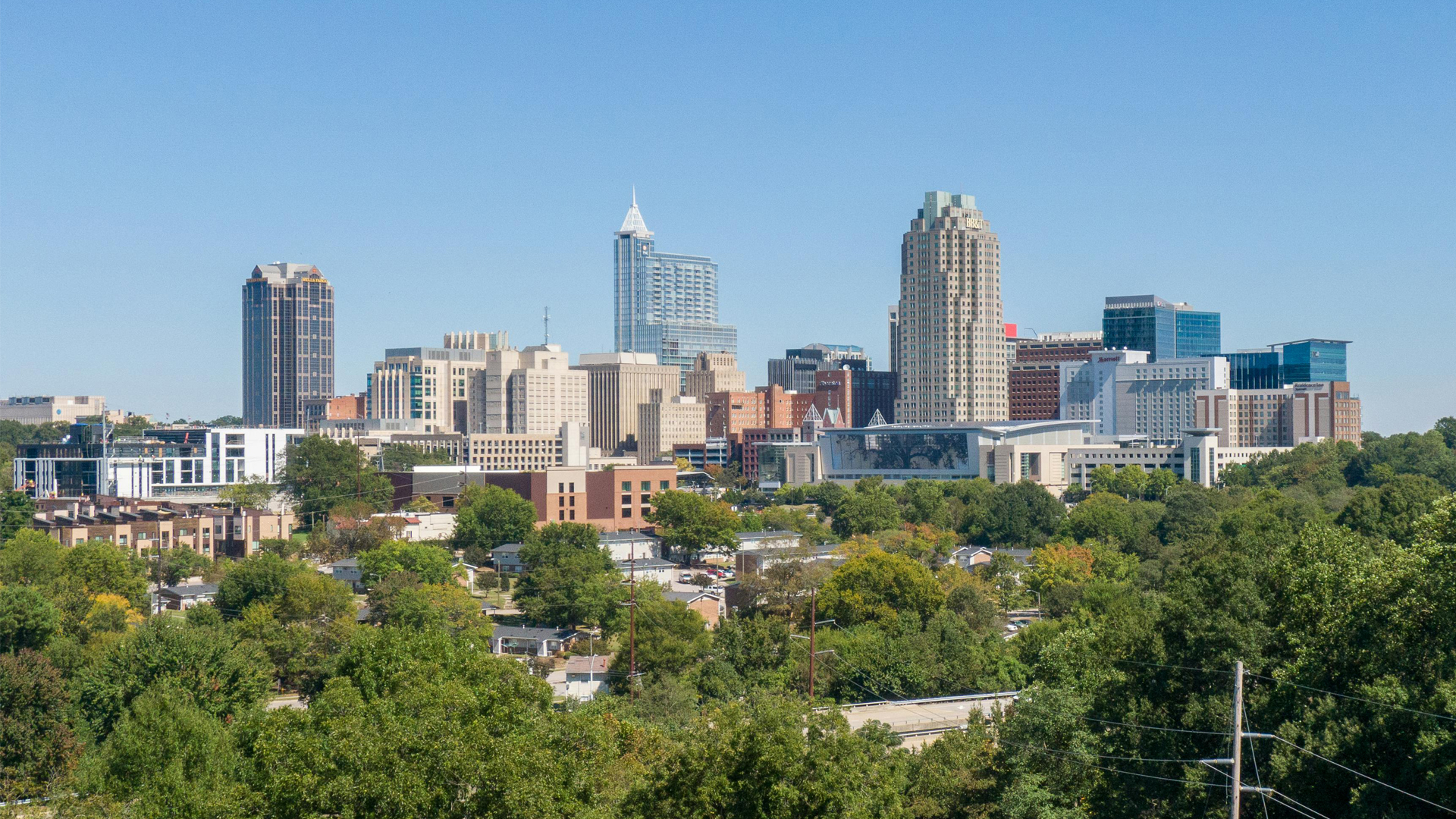 Ultimate Guide to Fun Things to Do in Raleigh North Carolina