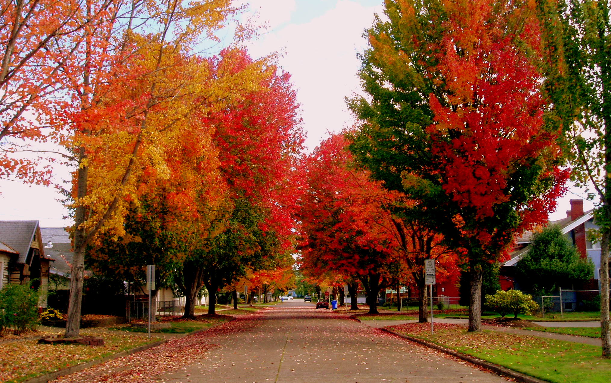 Discover Awesome Things to Do in Salem Oregon