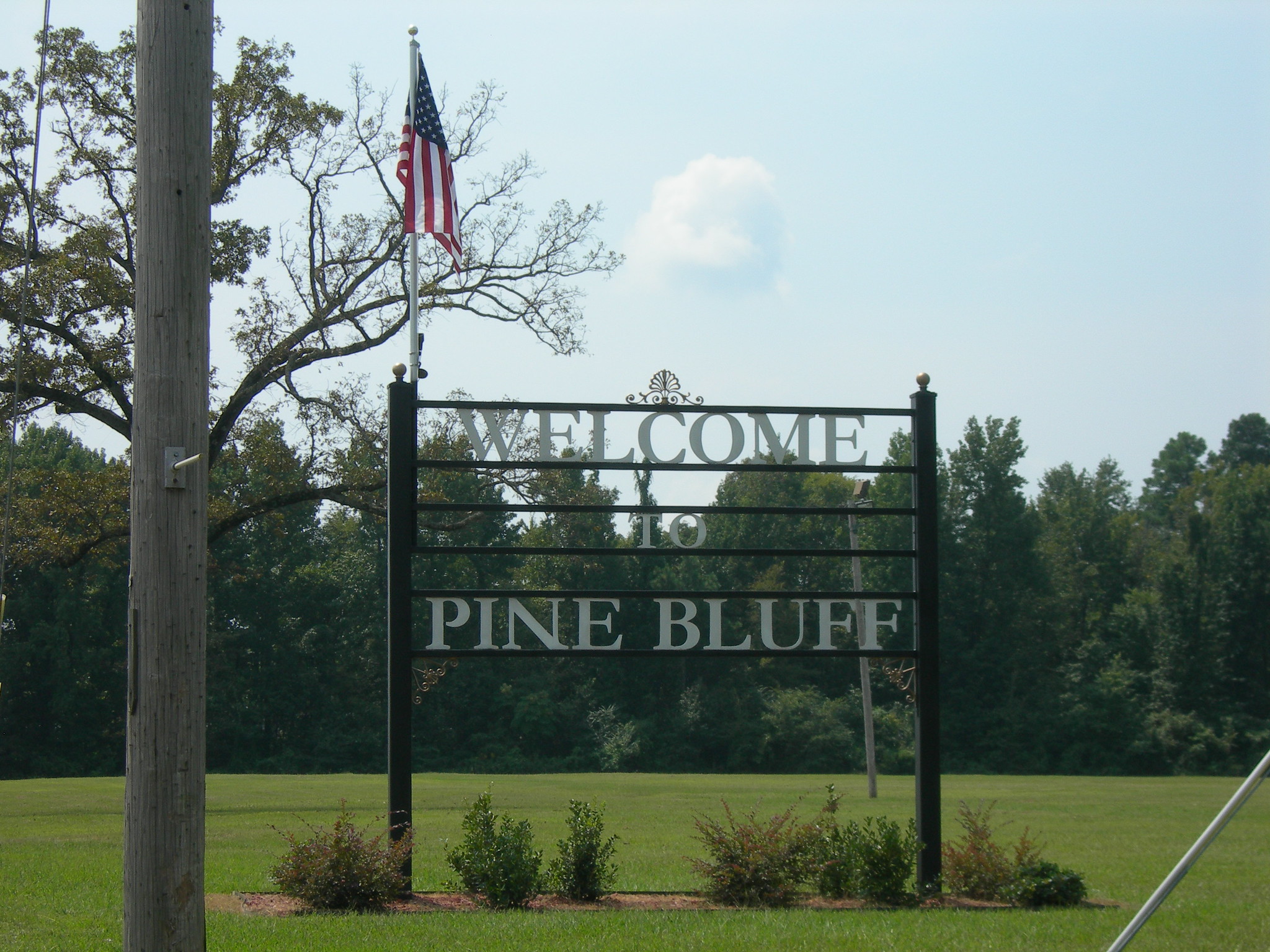 Discover the Best Things to Do in Pine Bluff Arkansas