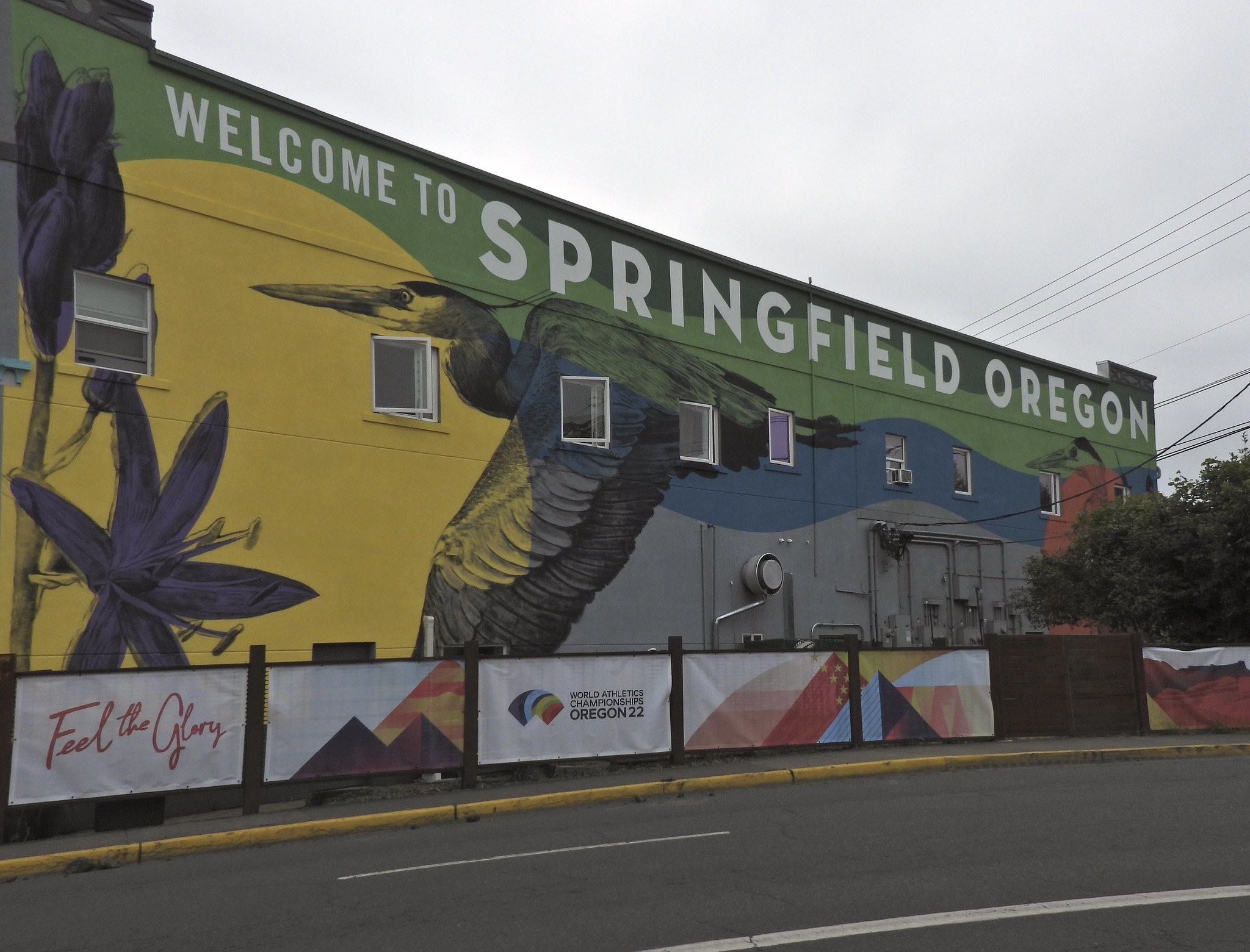 Fun Things to Do in Springfield Oregon