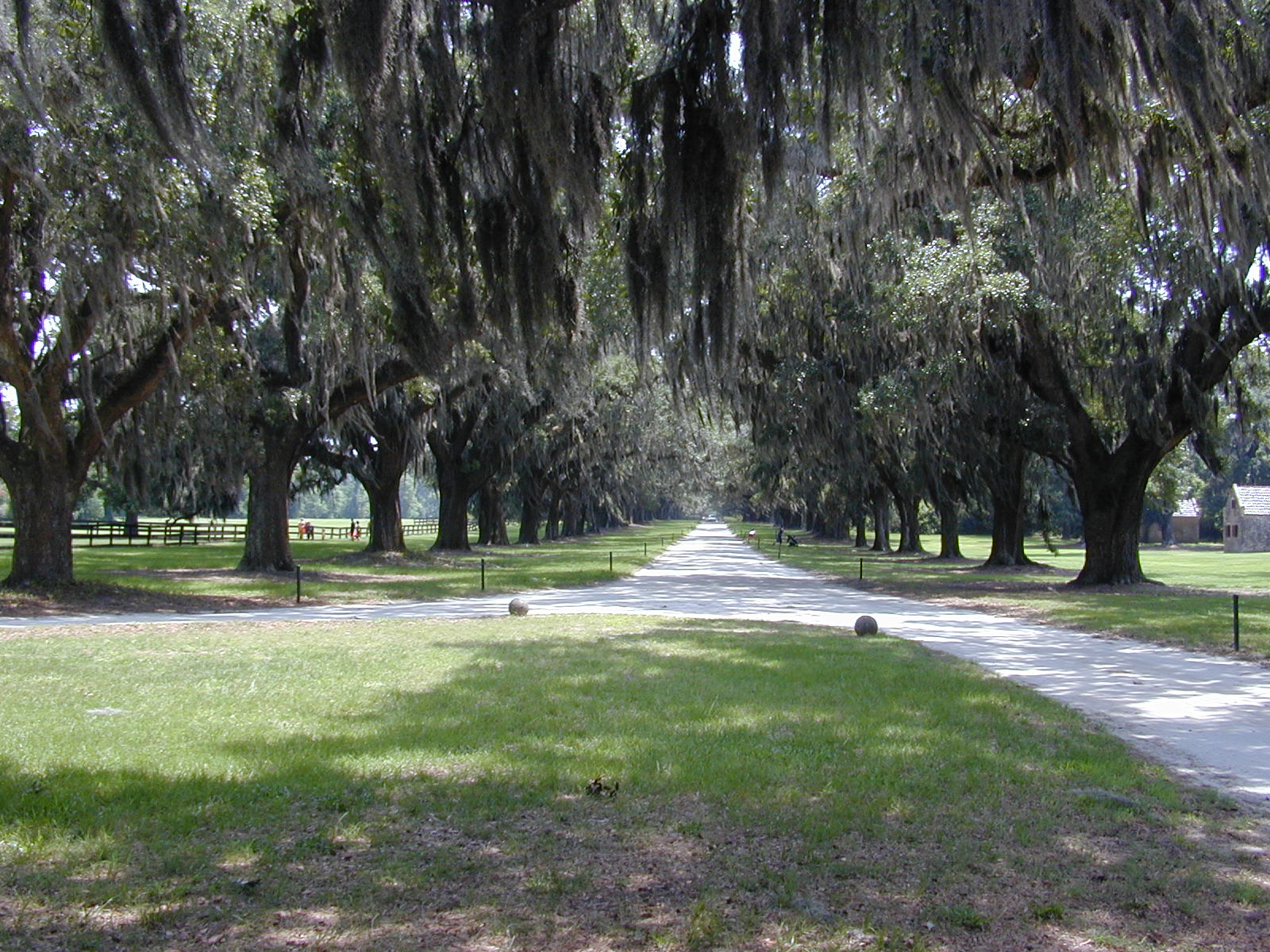 Discover Exciting Things to Do in Mount Pleasant South Carolina