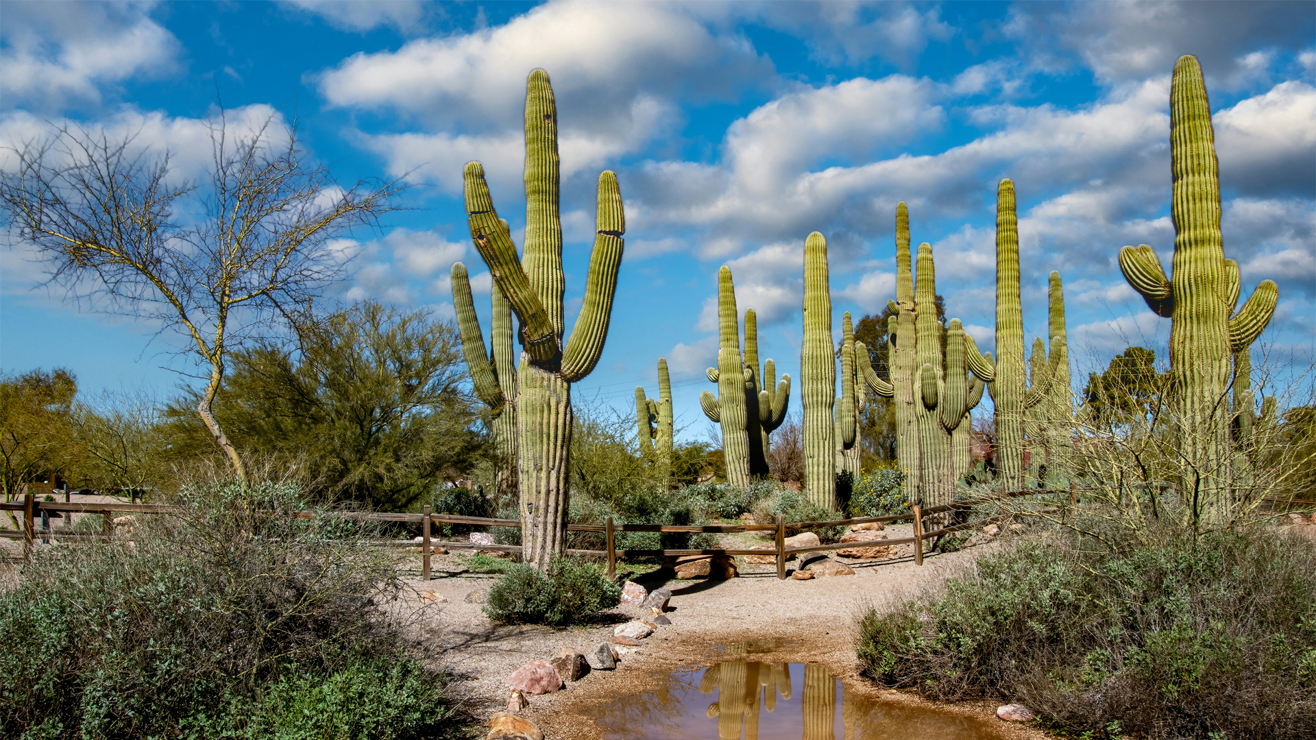 Exciting Things to Do in Gilbert Arizona for All Ages