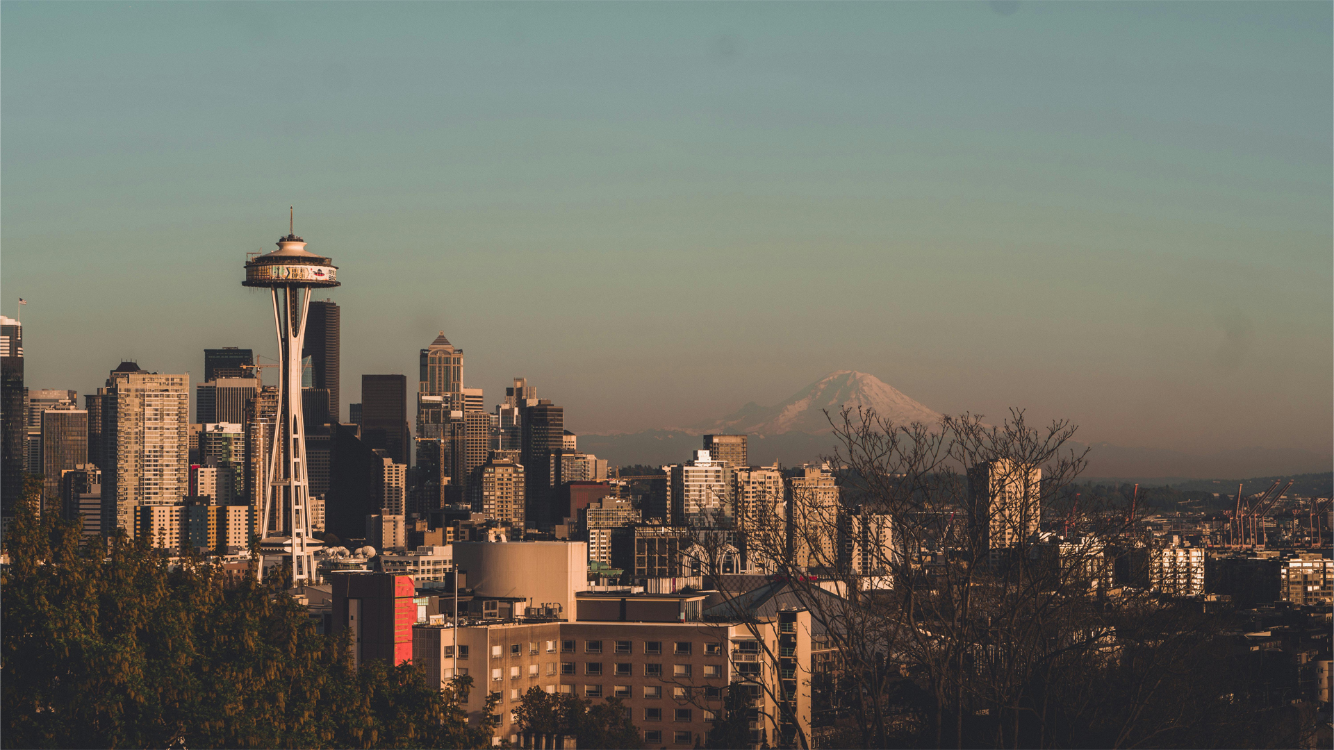 Ultimate Guide to Things to Do in Seattle Washington