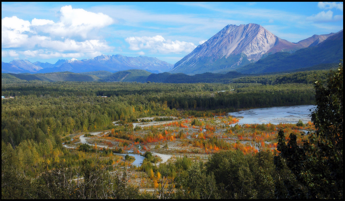 Top Things to Do in Palmer Alaska for a Fun Adventure