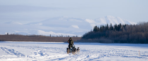 Unforgettable Things to Do in Bethel Alaska