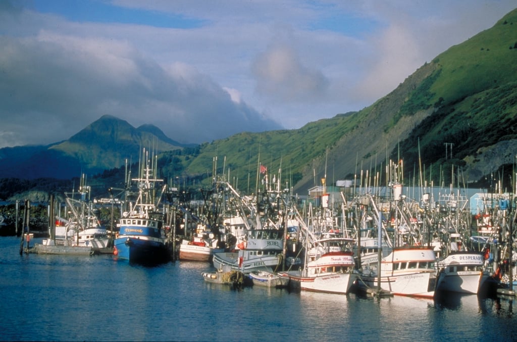 Discover the Best Things to Do in Kodiak Alaska