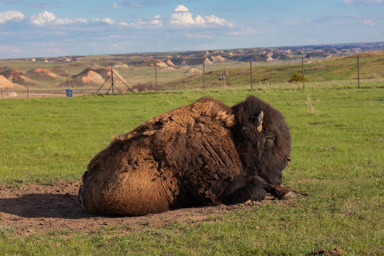 Discover the Top Places to Visit in North Dakota