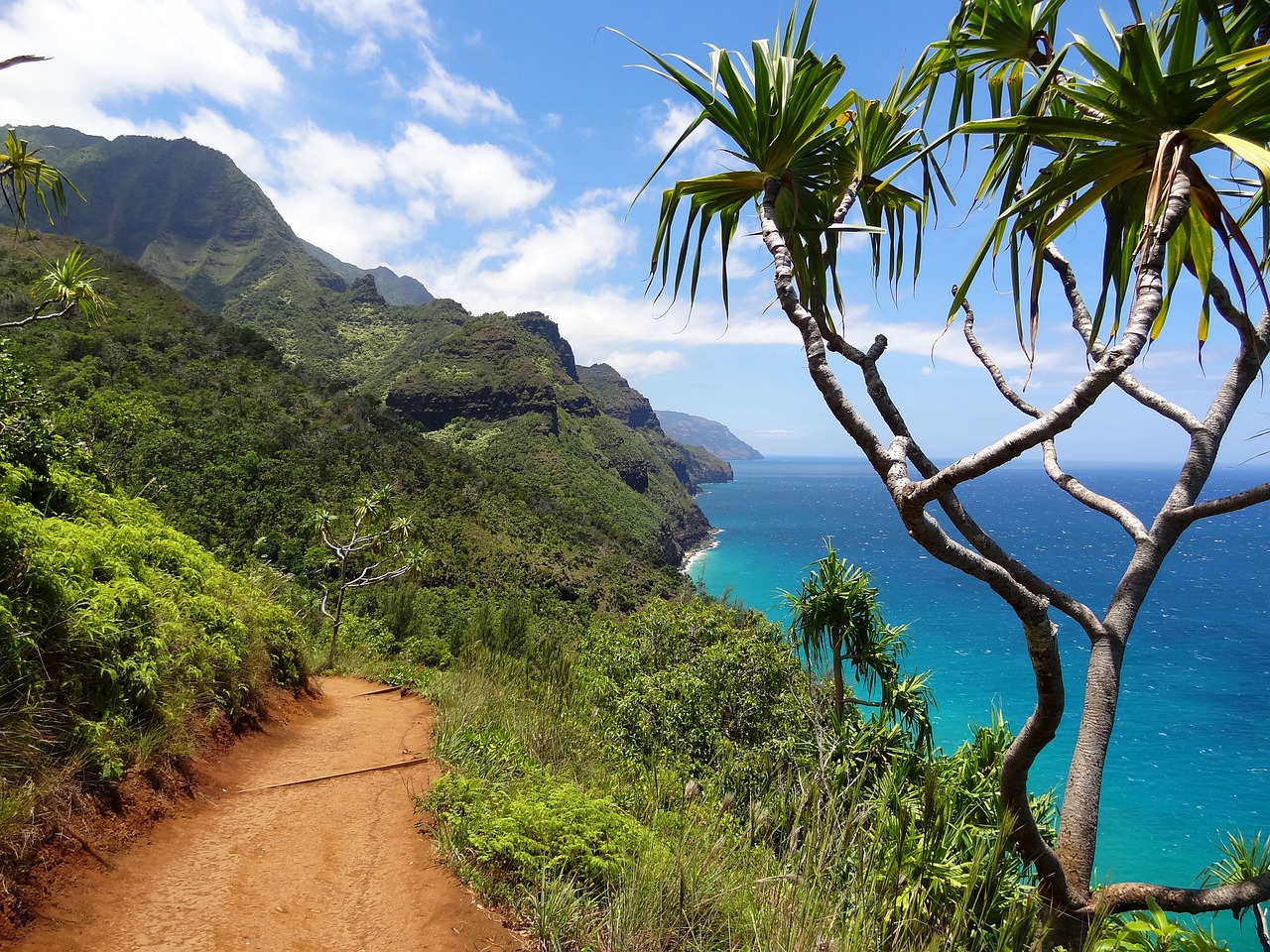 Discover the Top Places to Visit Hawaii