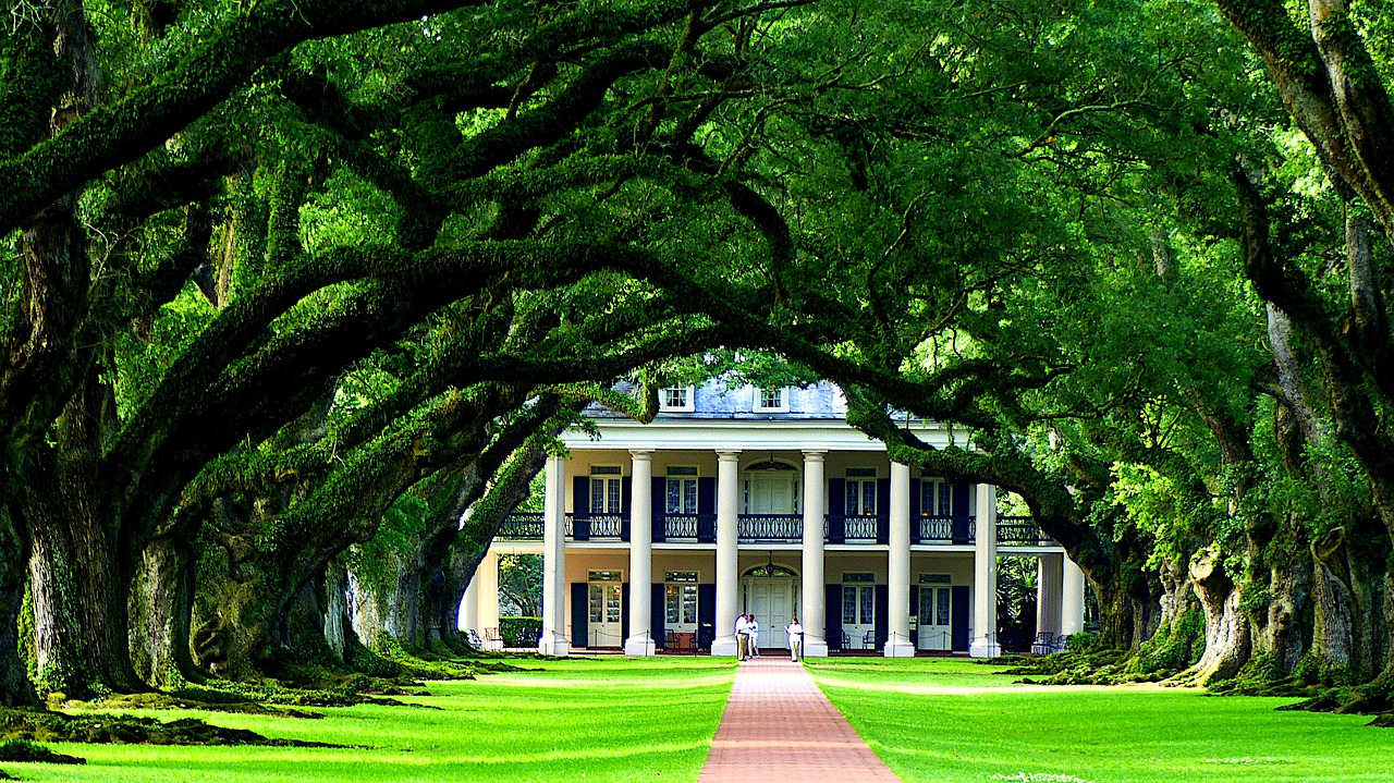 Unmissable Top Places to Visit Louisiana