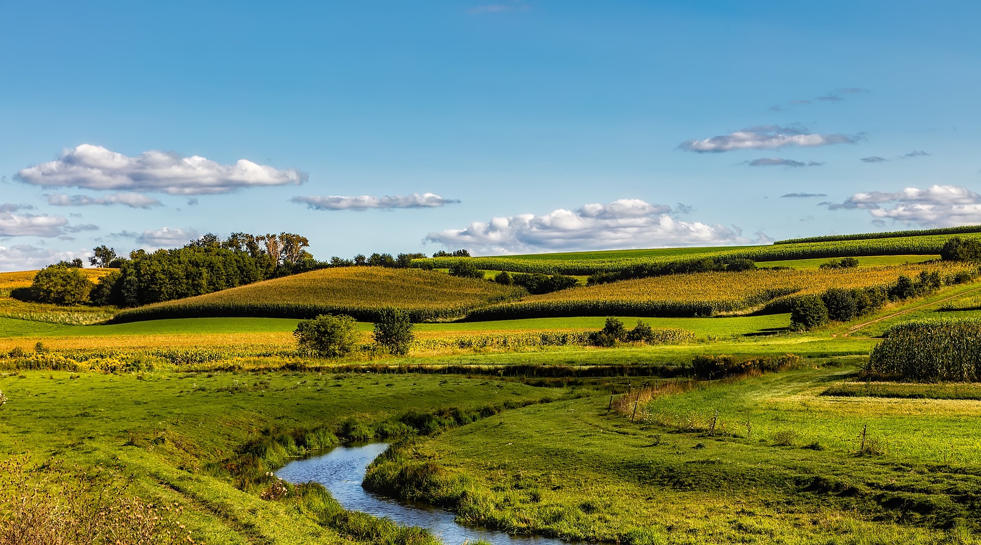 Top Places to Visit in Wisconsin You Can’t Miss